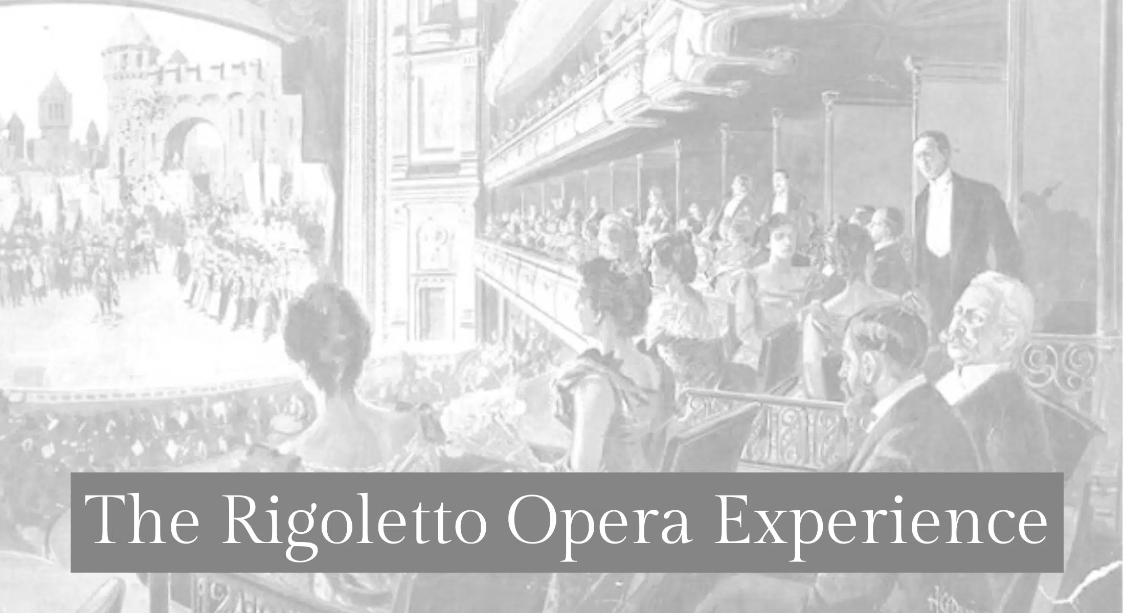 OPERA EXPERIENCE